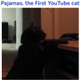 The First Youtube Cat logo