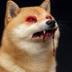 Bonk Rabies logo