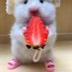 Retarded Hamster logo
