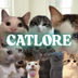 Catlore logo