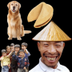 Chinese Dream logo
