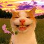 happycat