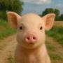 earthpig