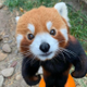 Solpanda logo