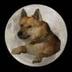 Doge 2.0 logo