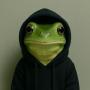 hoodfrog