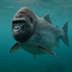 face of gorilla body of salmon logo