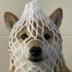 wrapped dog logo
