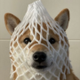 wrapped dog logo