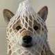wrapped dog logo
