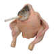 Smoking Chicken Fish logo