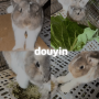 Douyin