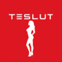 TESLUT