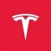 Tesla AI logo