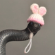 Snake Wif Hat logo