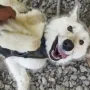 FLOPPY