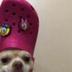 dog wif croc logo