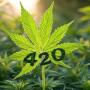 420