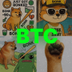 Bonk Takes Control logo