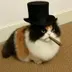 floof logo
