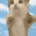 Happy Cat logo