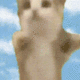 Happy Cat logo