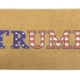 Rug Of The United States logo