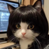 Mi Mi Cat logo