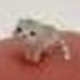 Low Quality Cat logo