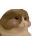 numcat logo