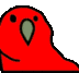 PAWWOT logo