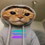 Hood