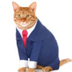 cat@gmail.com logo