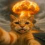 WarCat