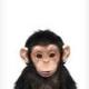 Ape logo