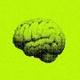 Neural Research logo