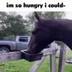 im so hungry logo