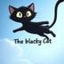 BLACKY CAT logo