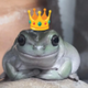 first frog named gork logo