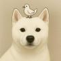 WIFPEACE