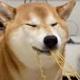 noodle shiba logo