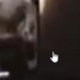 ELON PANDA logo