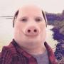 PORK
