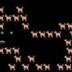 tweet dog logo