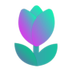 Tulip logo