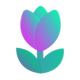 Tulip logo