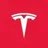 TESLA AI