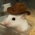 hamster wif hat logo