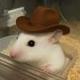 hamster wif hat logo