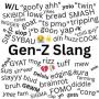 Slang